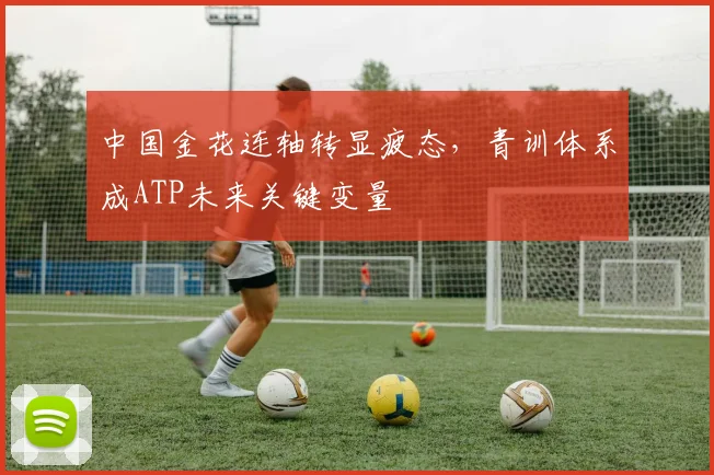 中国金花连轴转显疲态，青训体系成ATP未来关键变量