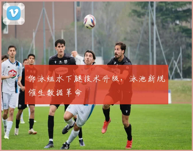 仰泳组水下腿技术升级，泳池新规催生数据革命