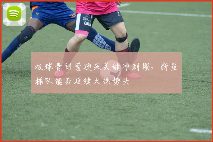 板球青训营迎来关键冲刺期，新星梯队能否延续火热势头