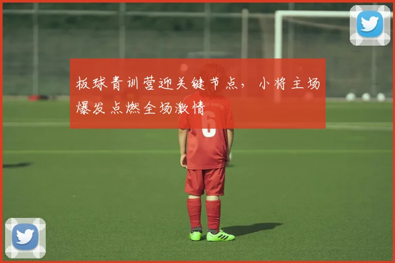 板球青训营迎关键节点，小将主场爆发点燃全场激情
